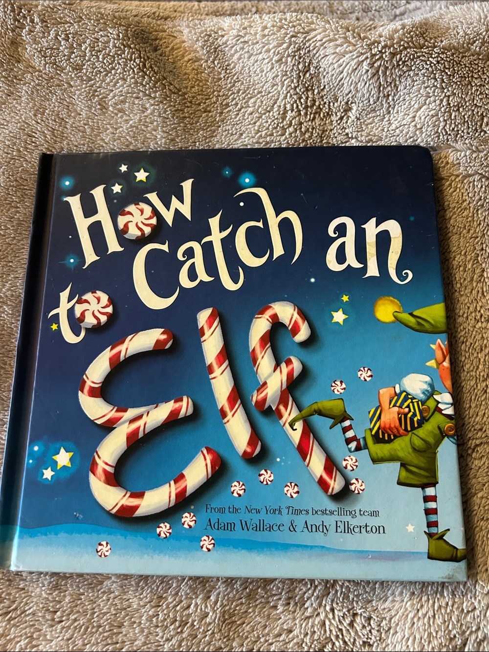 How to Catch an Elf Hardcover book  by Adam Wallace, Andy Elkerton